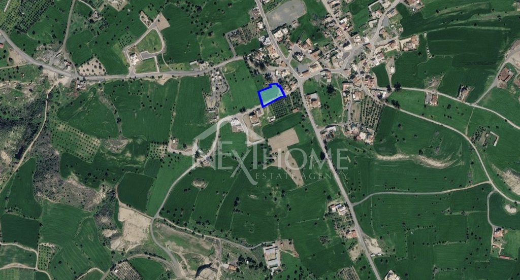 Featured Photo