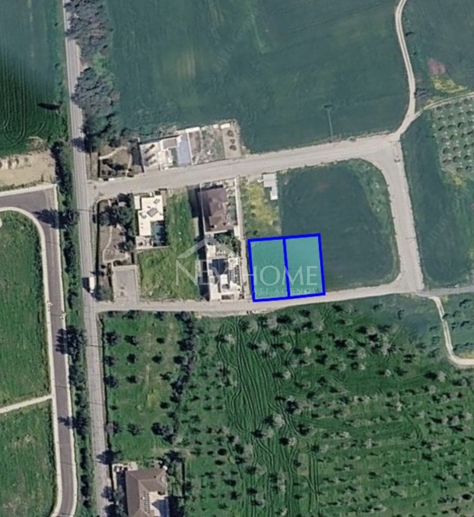 Featured Photo